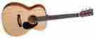 000rsgt Martin Road Series Acoustic-electric Guitar With Usb W Case