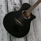 Apx500iii 0086792994123 Yamaha Black Acoustic