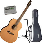 032525 Seagull Coastline Folk Cedar 607595981655
