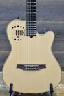 16182139 040650f Godin Multiac Nylon Duet 623501040650