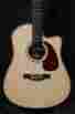 041572 Artist Studio Element Seagull New 2016 Cw W Lr Baggs Tric Case