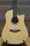 041589f 041589900007 Artist Peppino Signature Seagull Cw Element Sf El Acoust Guitar W Case 623501041589