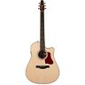 046430 Seagull Maritime Sws Cw Gt Pre Sys Acoustic 623501046430