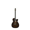 047741 Seagull Artist Mosaic Ch Cw Bourbonburst Gt Eq 623501047741