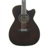 050567 Seagull Artist Mosaic Concert Hall Cw Bourbon Burst Gloss Top
