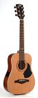 06217062 Eko Guitars Evo Series