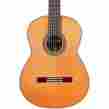 8098709 06542 Cordoba C12 Limited Cedar Top Classical Guitar Natural 809870065429