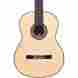 8098706 06543 Cordoba C12 Limited Spruce Top Classical Guitar Natural 809870065436