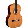 06556 Cordoba Friederich Luthier Select Cedar Top Acoustic Classical 809870065566
