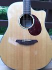07022515 Breedlove Atlas Series Guitar Gig Bag