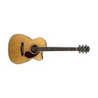 0960271221 Fender Pm-3 Paramount Deluxe 885978579785