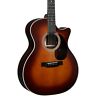 10cmgcgt0089 Martin Gpc Special Style Rosewood Grand Performance Guitar 729789599870