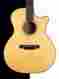 10gpc18e Martin Acoustic Guitar Gpc-18e Hardshell Case Fishman Aura Vt 729789506809