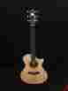 1103222148 Custom Taylor Grand Concert Acoustic Electric