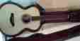 1109140064 Custom Shop Grand Concert Taylor Adirondack Top Expressions
