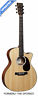 11gpc11e Martin Guitars Road Series Guitar 729789574105