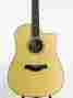 1108032025 12286 Dnce-fltd Taylor 2012 Dreadnaught Fall Limited Edition Quilted Sapele