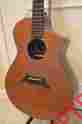13022 Bossa Nova Breedlove Acoustic-electric Guitar Performance Series 2010