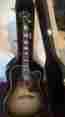 13294071 Hummingbird Gibson Pro