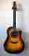 1617ale-1 1617ale Ovation Limited Edition