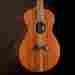 16647 Breedlove Exotic Fingerstylist