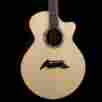 16736 Breedlove Masterclass Auditorium