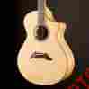 16806 Breedlove Masterclass Concert S N