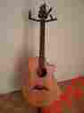 1840910 C25 Sme Breedlove American Series Acoustic Guitar