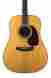 1906694 D-42 Martin W Factory Lifetime Warranty And Case