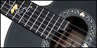 2012c Limited Edition Takamine
