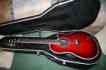 2059lx Ovation Legend Custom