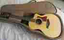 214ce-sb 214ce Taylor Acoustic Electric Guitar With Bag Martin Gibson