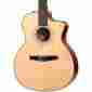 214ce-n-2012 214ce-n Used004000 Taylor Rsewood Spruce Nylon String Grand Auditorium A E Guitar Mc