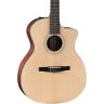 214ce-nr Taylor Grand Auditorium Nylon String Guitar Natural 887766105343