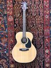 Eg-230 230 Takamine Series Dreadnought Acoustic Electric Guitar Plays Beautifully