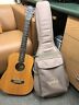 301-gb Taylor Baby With Gig Bag And Pack Of Earthwood Strings