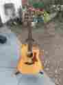 310-ce-l2 310ce-l2 Taylor Guitar Solid Maple Back Sides Dreadnought