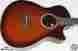 31014 Aple Rainsong Al Petteway Limited Om Acoustic-electric Guitar Hsc New