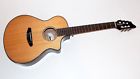311715971 Breedlove Pursuit Nylon Ce