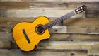 311743015 Takamine Guitar Natural