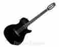 31245 Godin Multiac Spectrum Steel String