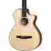 312ce-n Taylor 300 Grand Concert Nylon String Acoustic-electric Natural 841060047815