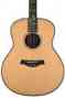 33018 Case Amazing 918e Hardshell Price Factory Warranty Taylor Sale
