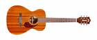 384-1204-838 Guild M-120e W Polyfoam Case