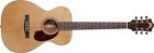385-1206-821 Guild Usa F-20e Standard