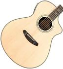 39149160 Breedlove Stage Concert Ce Sitka