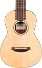 3955 Cordoba Mini Mahogany Nylon 809870039550