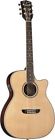 Wsd5240scek 4135 Washburn Warren Haynes Deluxe Guitar Blem 801128026367
