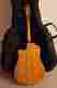041565 41565 Artist Cameo Seagull Cw Acoustic Guitar Element