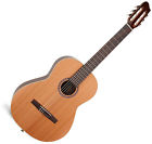 45495 Seagull Collection Classical Guitar 623501045495